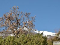2022-03-25 Monte Orsello da Nord 033